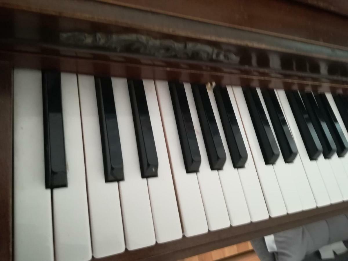 The Piano Apartment 扎瓦拉提卡 外观 照片